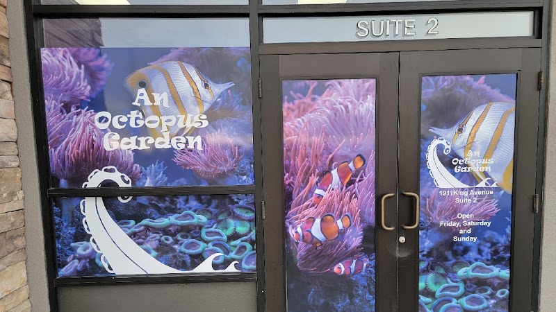 An Octopus Garden - Aquarium Store - Photo 1