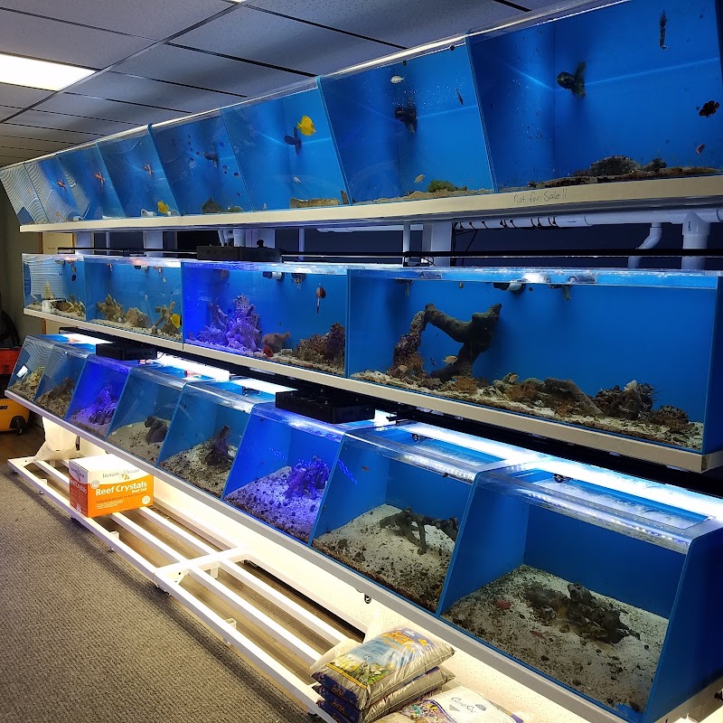 An Octopus Garden - Aquarium Store - Photo 2