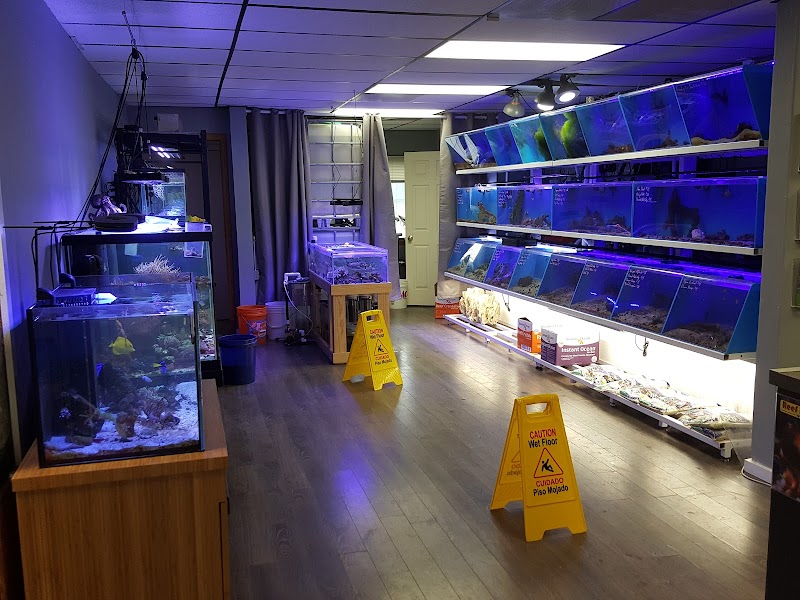 An Octopus Garden - Aquarium Store - Photo 5