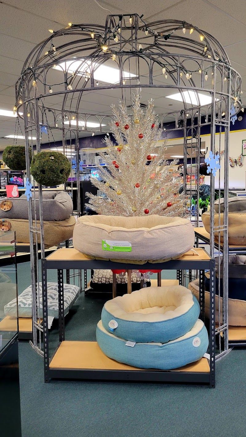 Island Pet Center - Photo 2