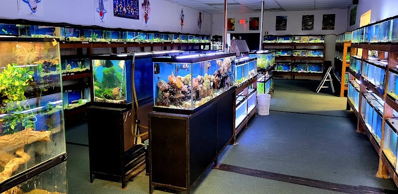 Island Pet Center - Photo 3