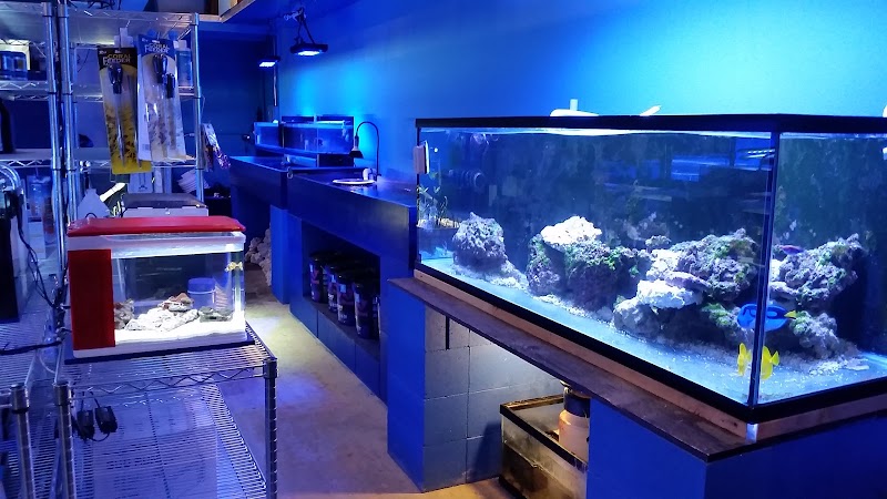 Deep Blue Aquarium - Photo 3