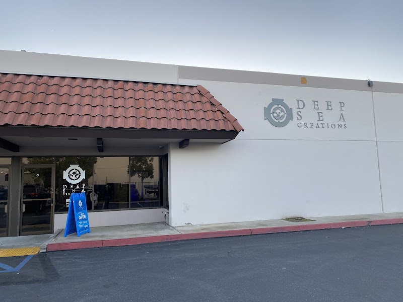 Deep Sea Creations - Photo 1