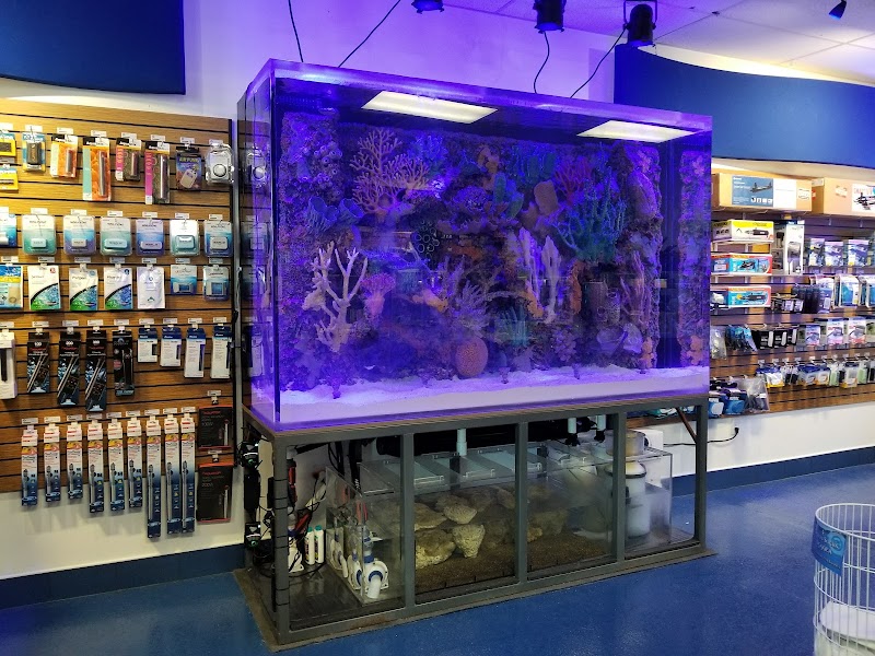 Deep Sea Creations - Photo 2