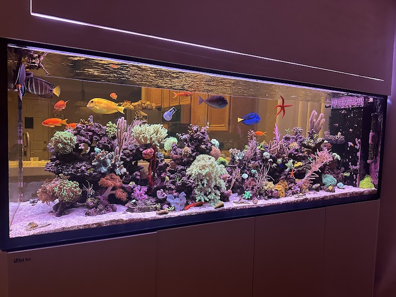 Deep Sea Creations - Photo 5