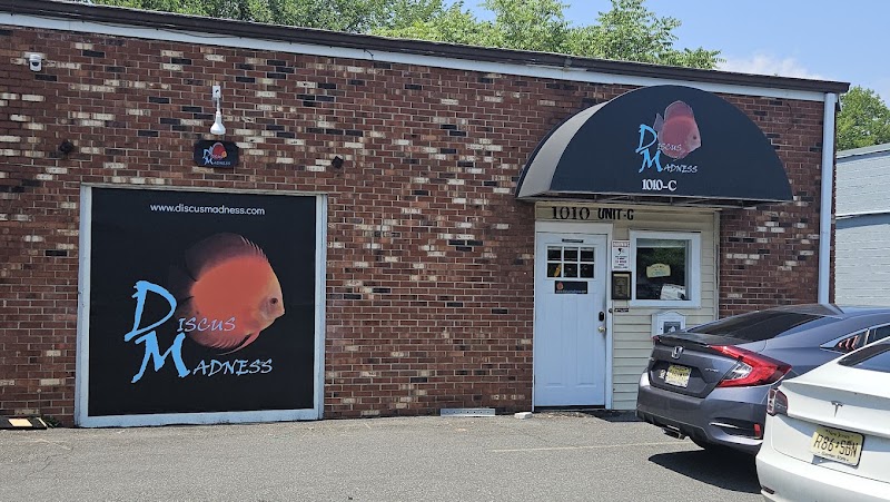 Discus Madness Inc. Showroom open to the public. - Photo 1