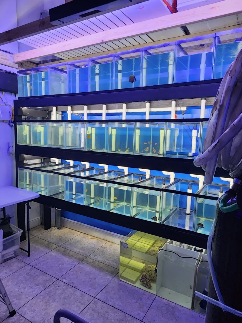 Miami Aquariums - Photo 2