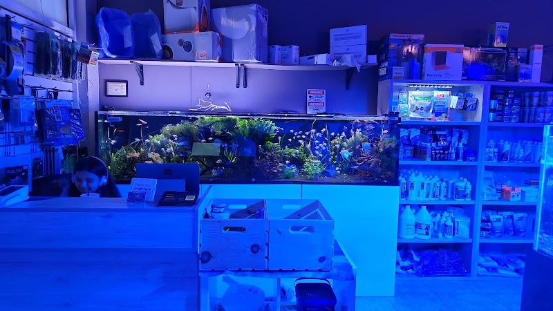 Miami Aquariums - Photo 3