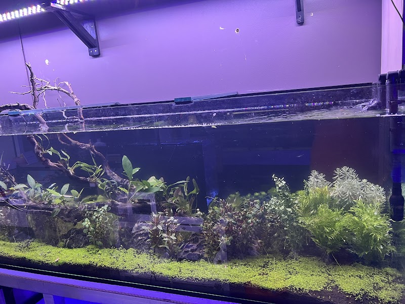 Miami Aquariums - Photo 4