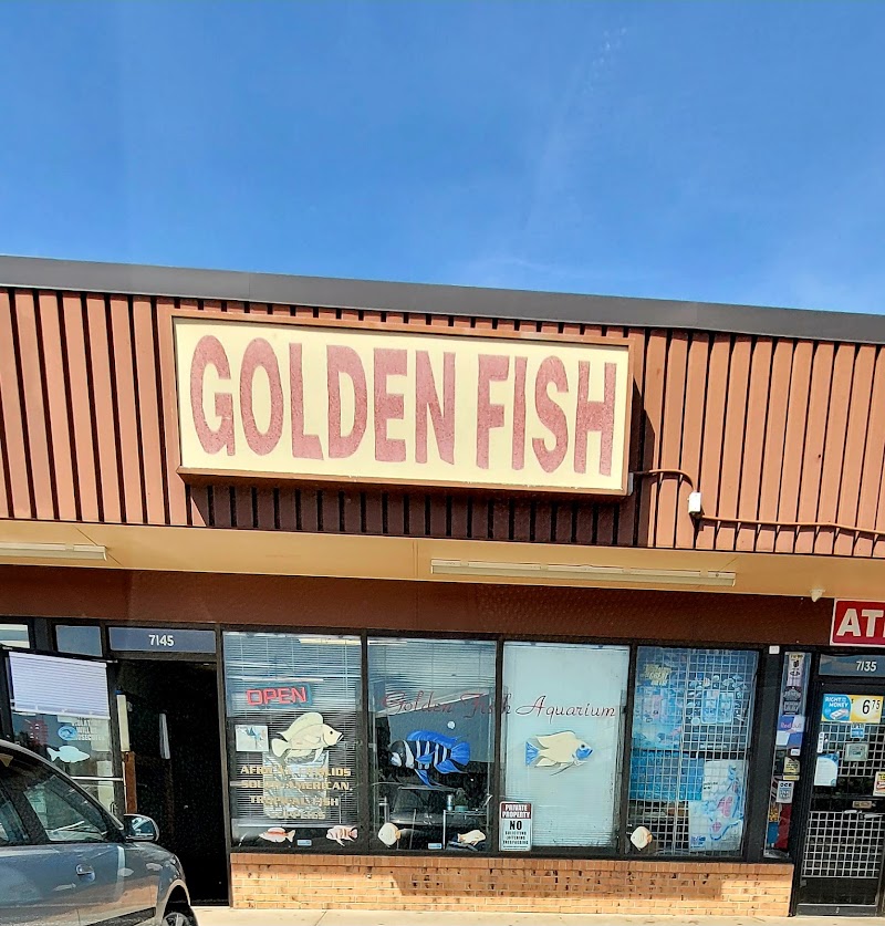 Golden Fish Aquariums - Photo 1