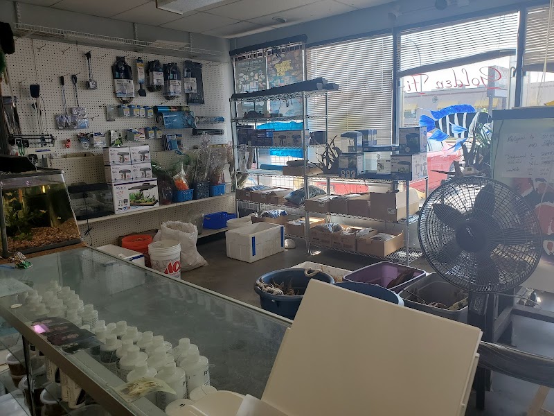 Golden Fish Aquariums - Photo 4