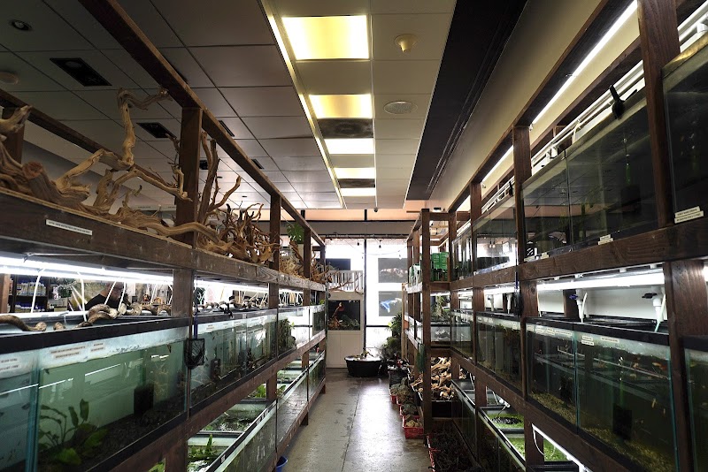 Houston Aqua - Photo 2