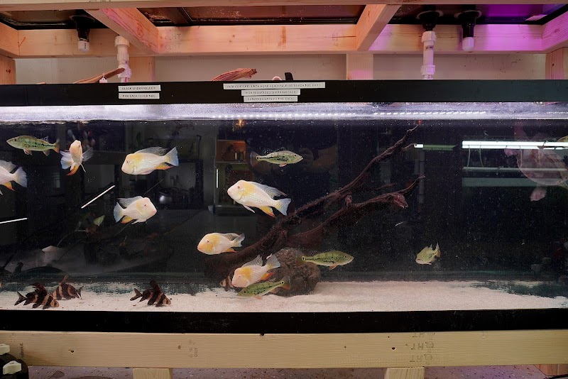 Houston Aqua - Photo 3