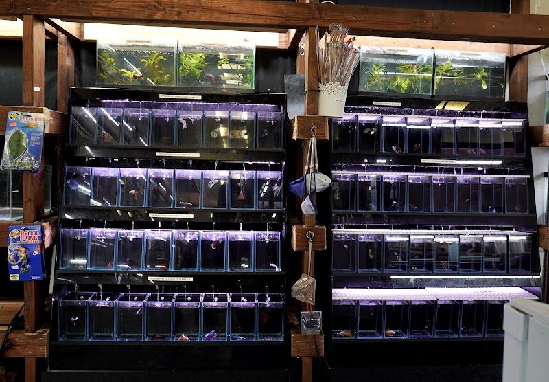 Houston Aqua - Photo 4