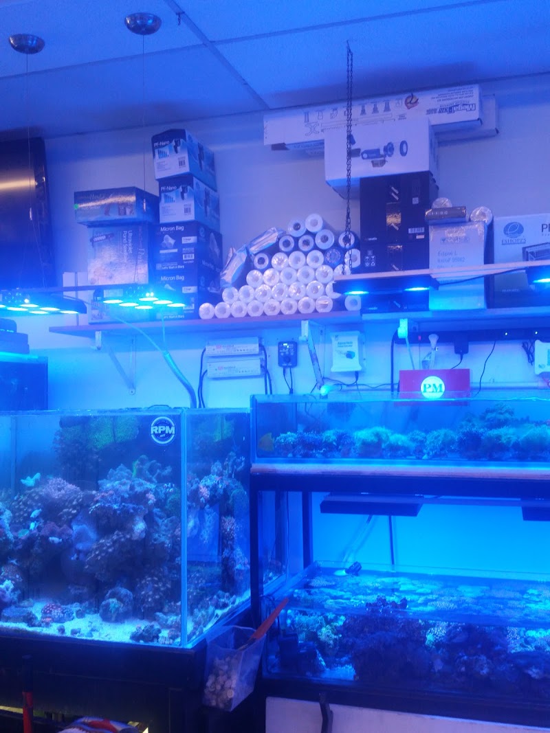 FJW Aquarium - Photo 2