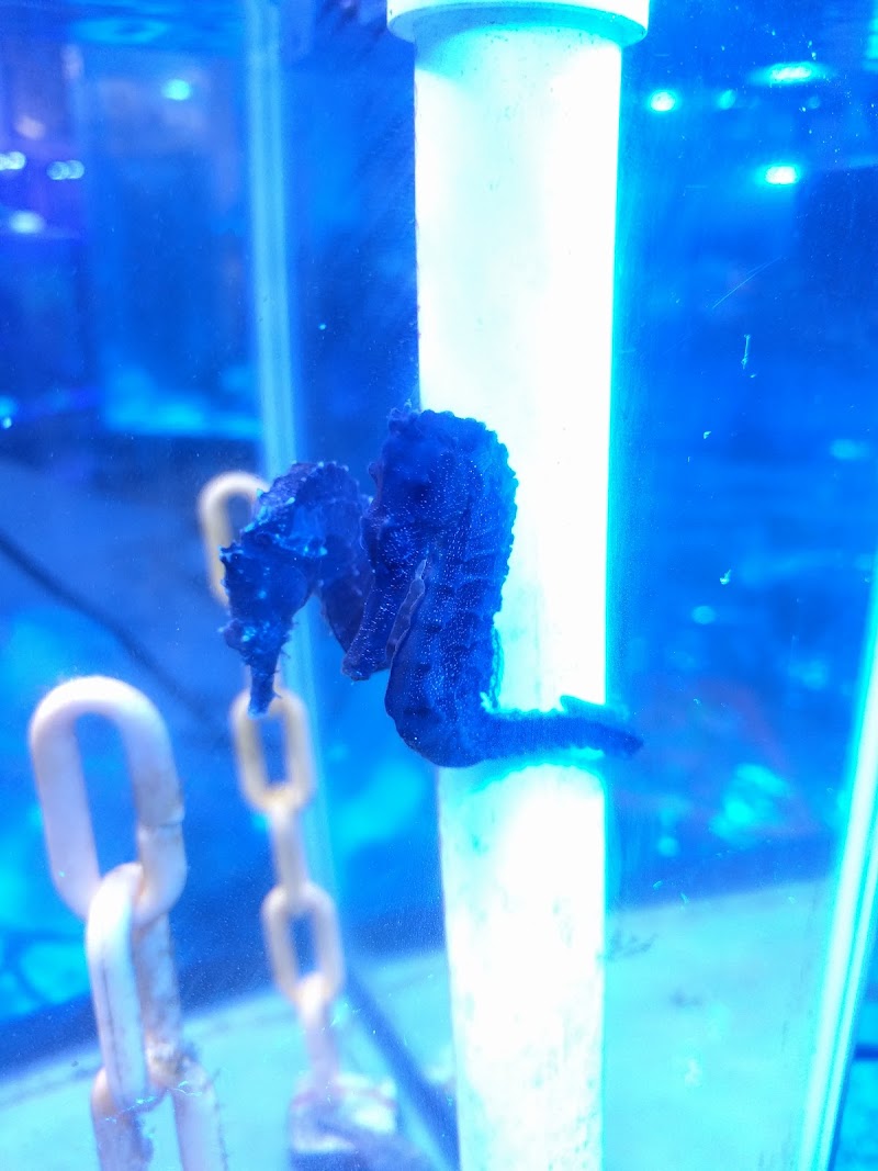 FJW Aquarium - Photo 3