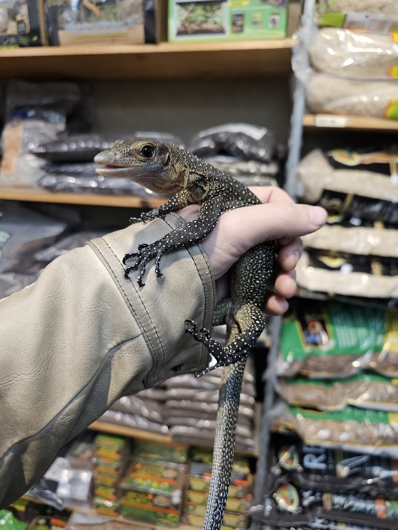 Aquatic Oasis Reefing - Photo 4