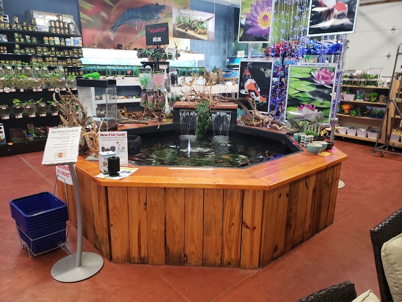 Aquatics Super Store - Super Cichlids & More - Photo 2