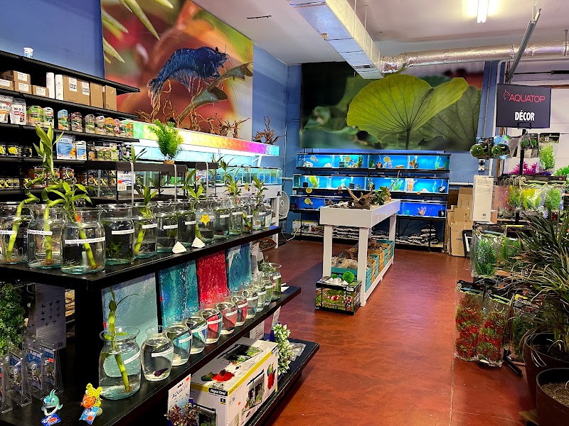 Aquatics Super Store - Super Cichlids & More - Photo 4