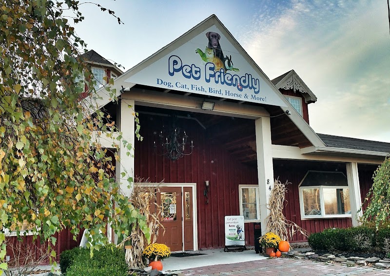 Pet Friendly - Photo 1