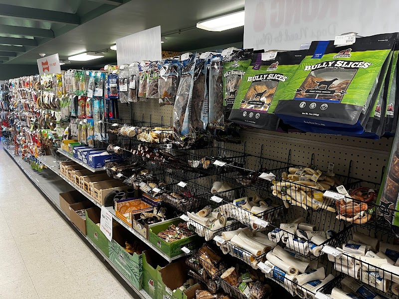 Pet Friendly - Photo 2