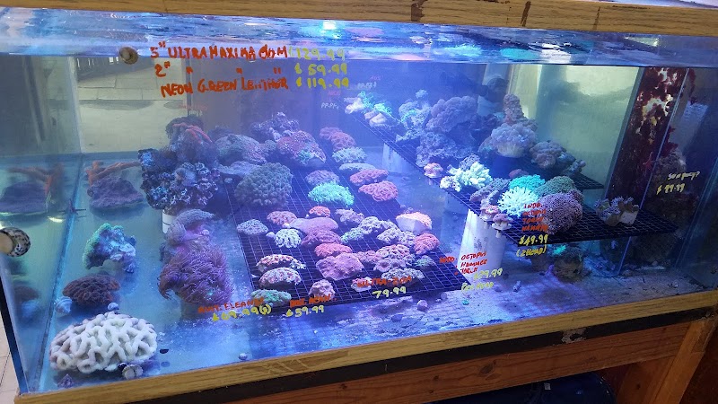 Tropical Fish Incorporated - Photo 1