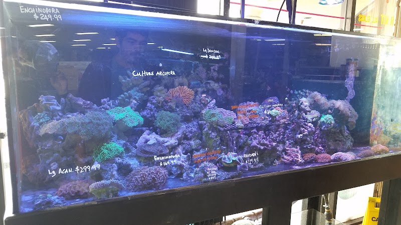 Tropical Fish Incorporated - Photo 4