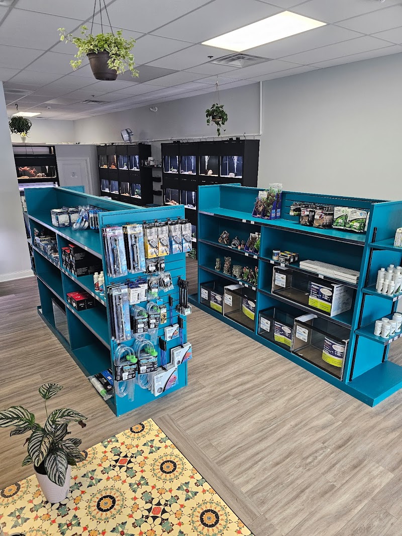 Fresh Tides Aquatics - Photo 2
