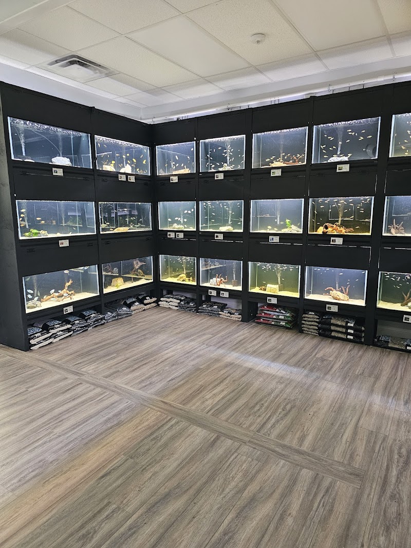 Fresh Tides Aquatics - Photo 5