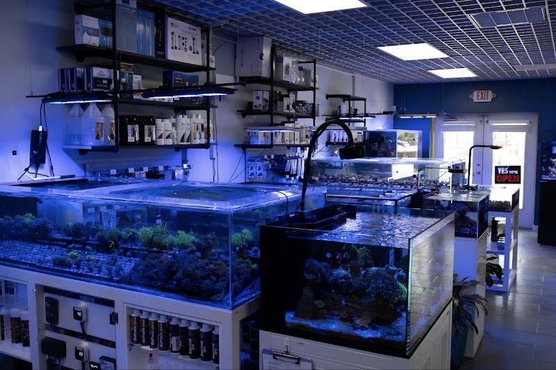 The Underwater Gardener - Photo 4