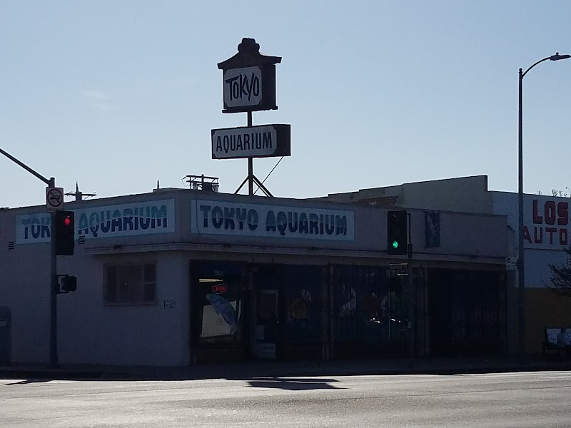 Tokyo Aquarium - Photo 1