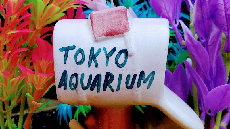 Tokyo Aquarium - Photo 2