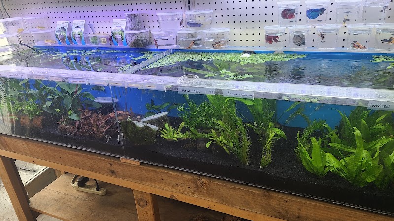 Tokyo Aquarium - Photo 3