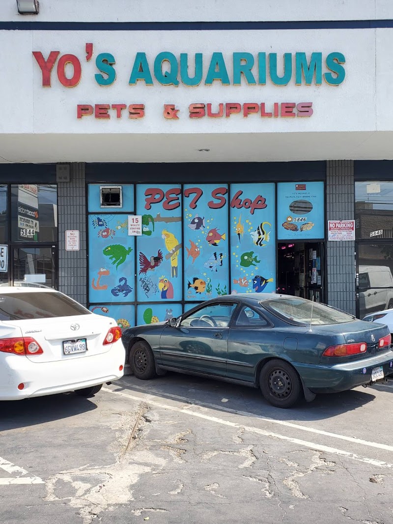 Yo's Aquarium - Photo 1