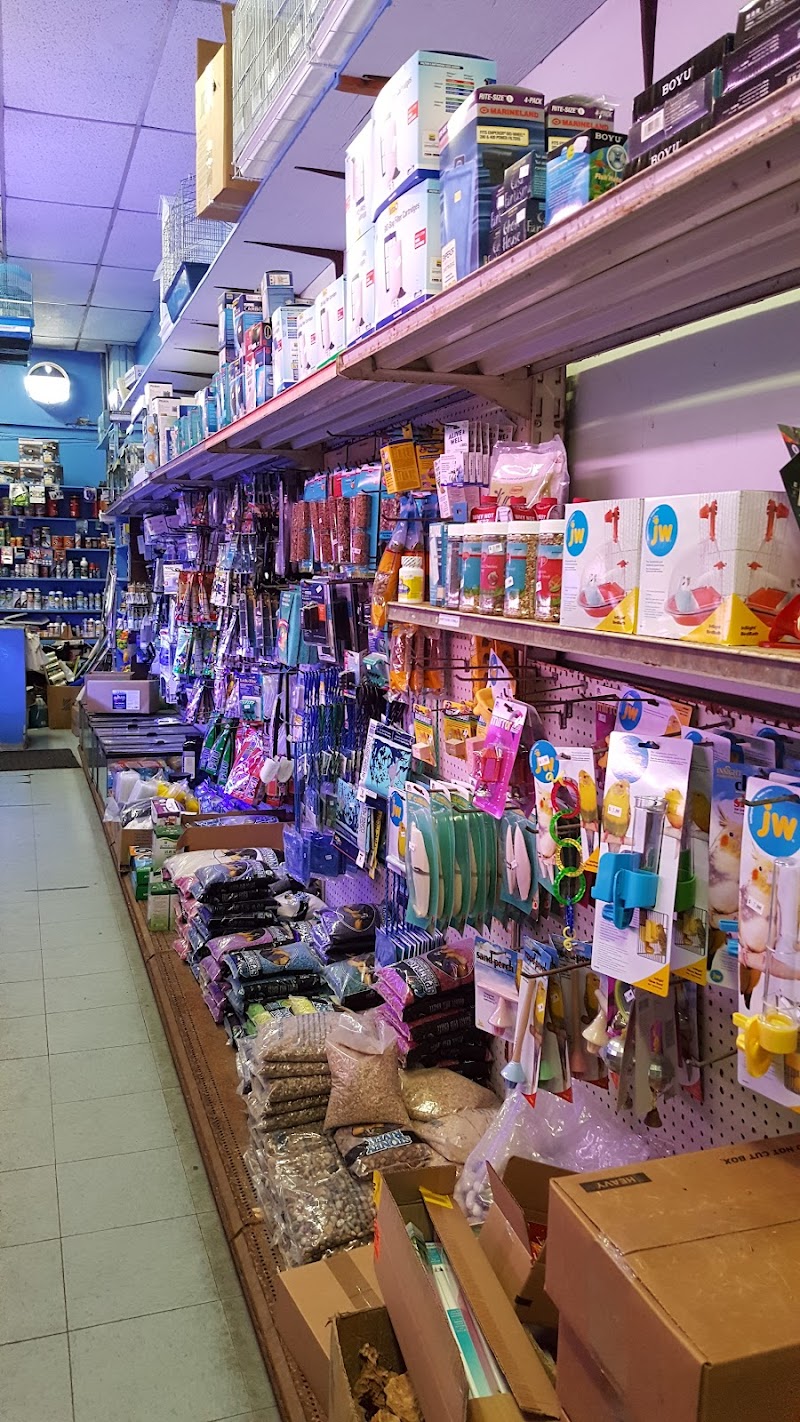 Yo's Aquarium - Photo 2