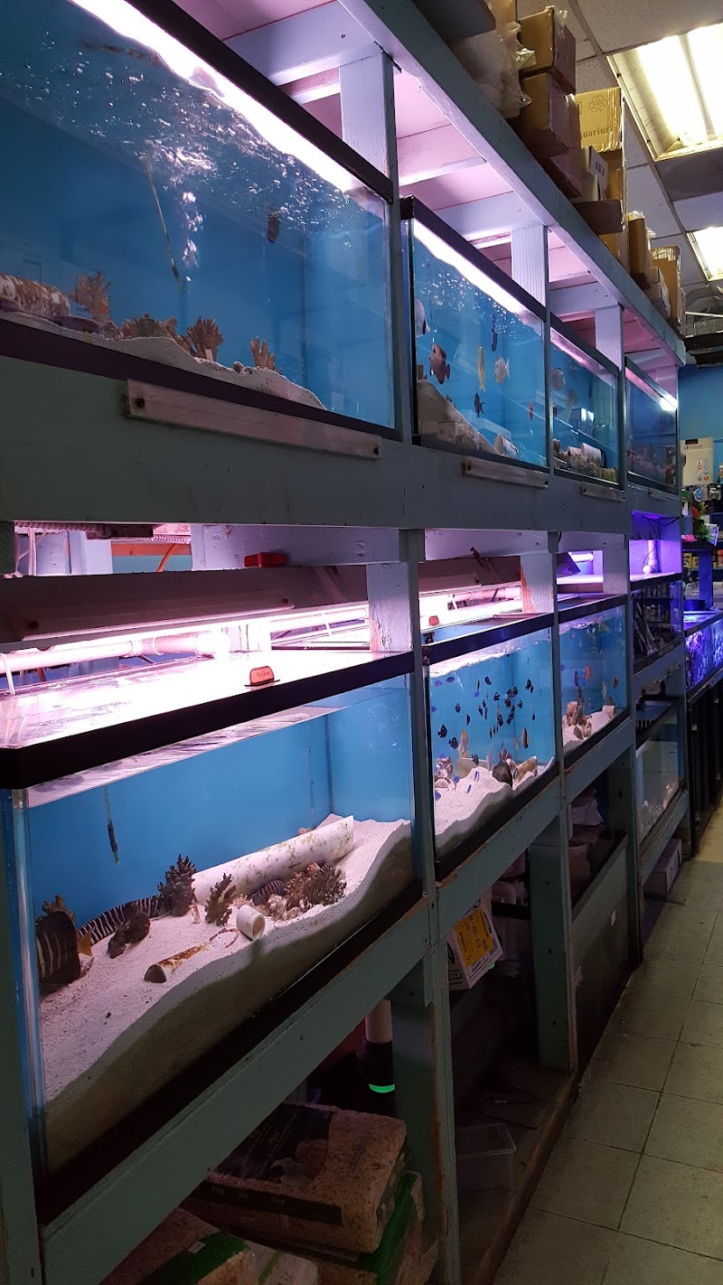 Yo's Aquarium - Photo 5