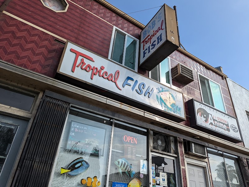 Bob's Tropical Fish - Photo 1