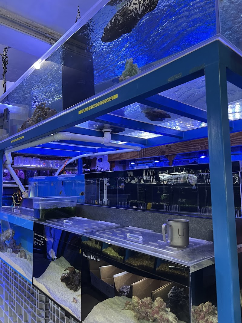 Bob's Tropical Fish - Photo 5