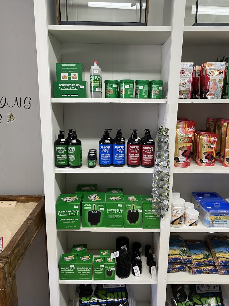 Aquaholics Tropical Fish Store - Photo 2