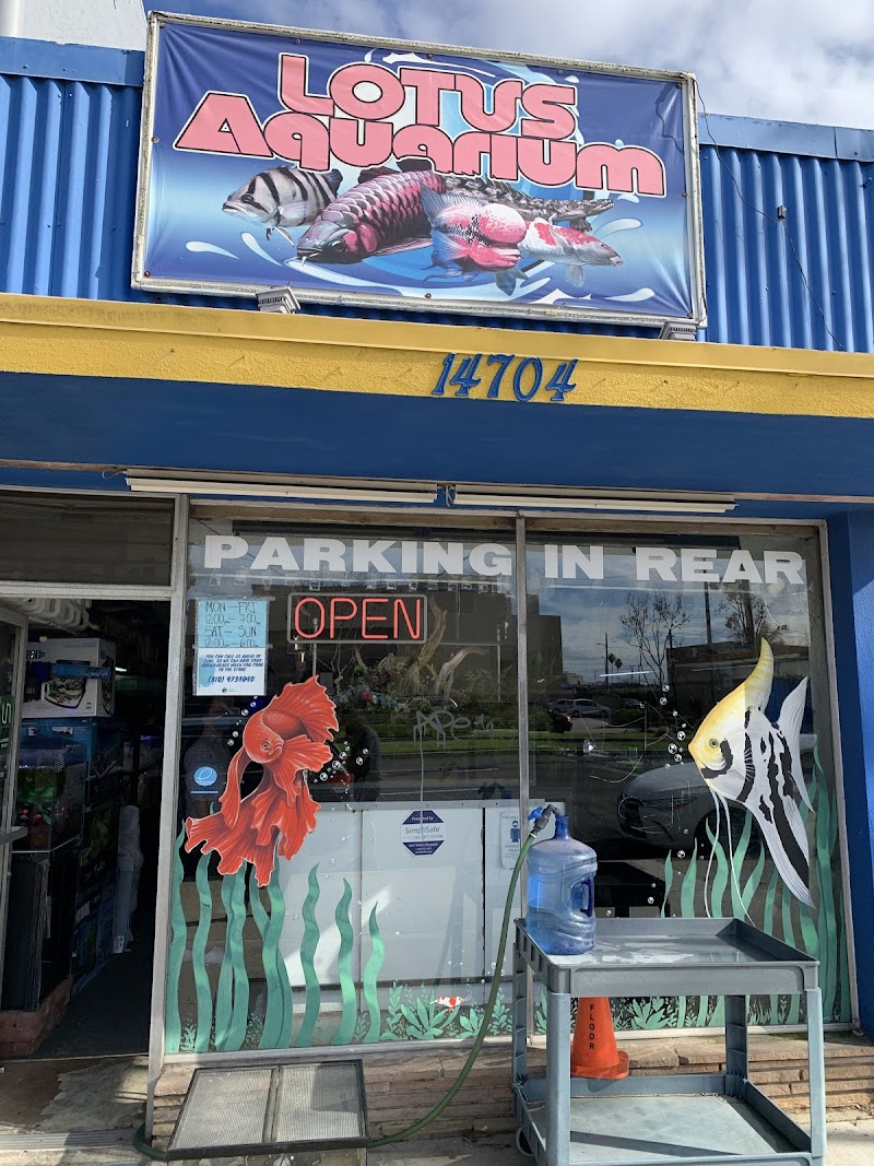 Lotus Aquarium - Photo 1