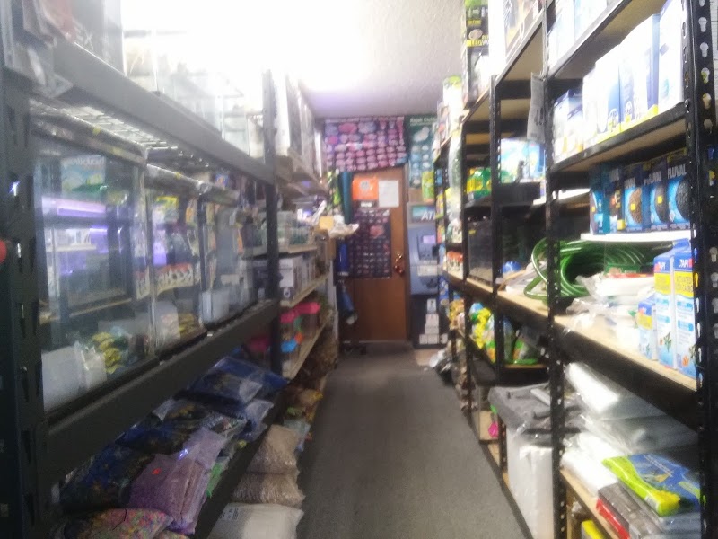 Lotus Aquarium - Photo 5