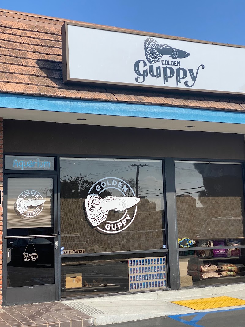 Golden Guppy Aquarium - Photo 1