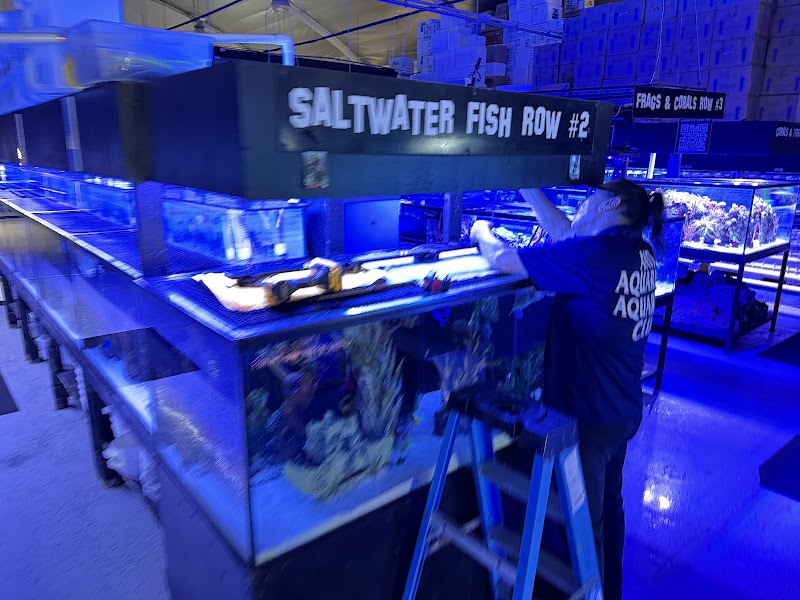 LAX Aquarium - Photo 3