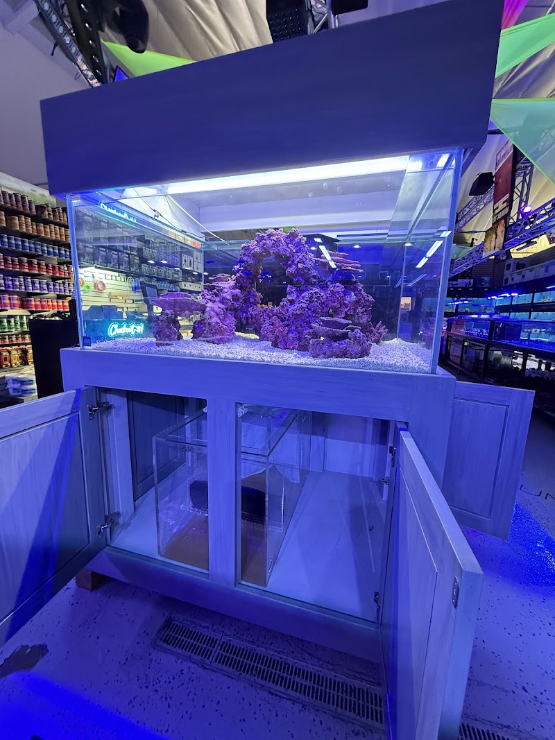 LAX Aquarium - Photo 4