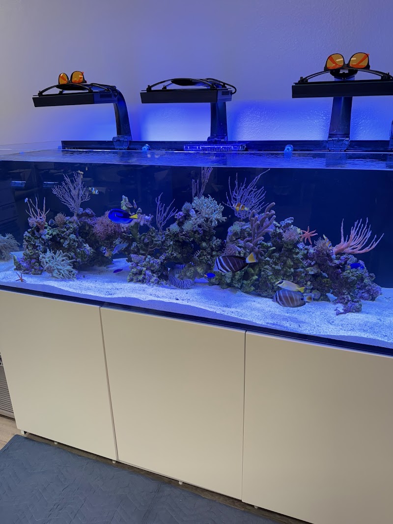 LAX Aquarium - Photo 5