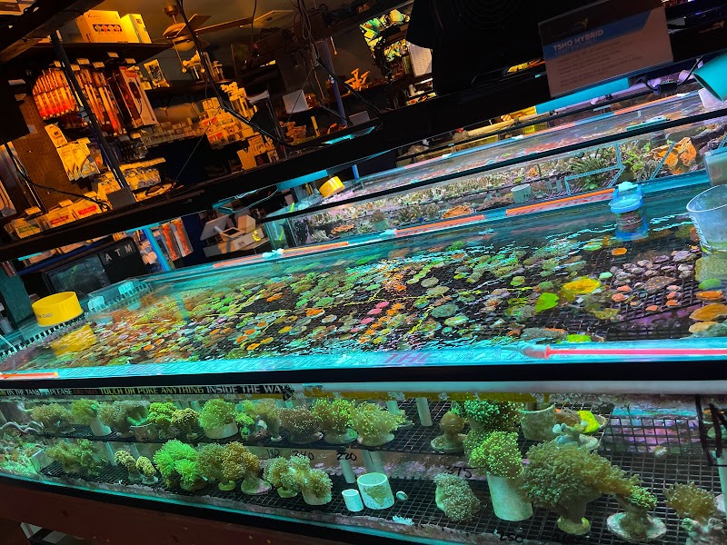 Ellis Aquatics - Photo 1