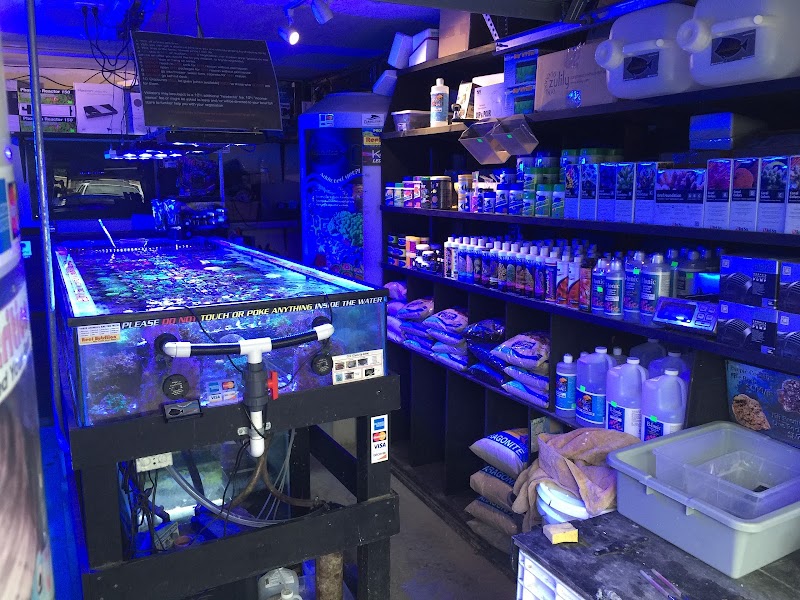 Ellis Aquatics - Photo 4