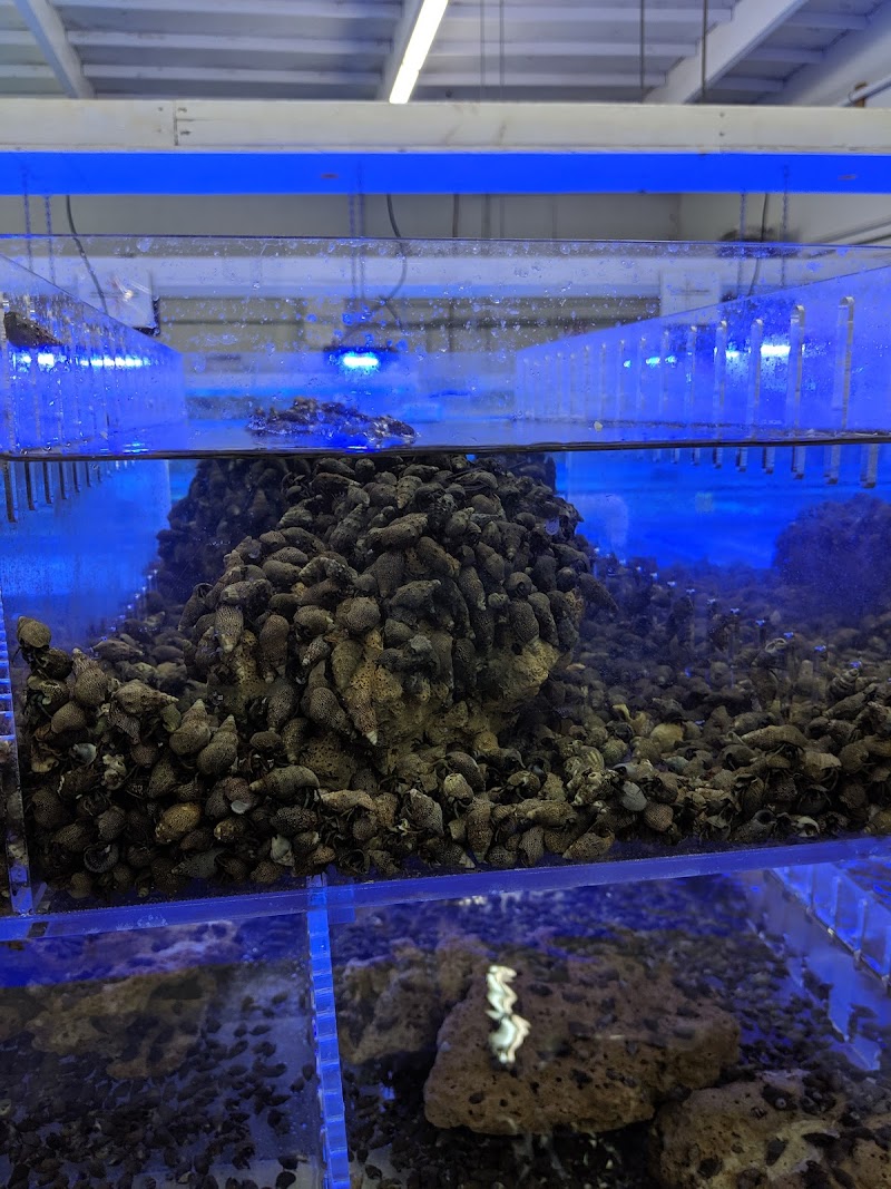 Harry's Marine Life - Photo 1