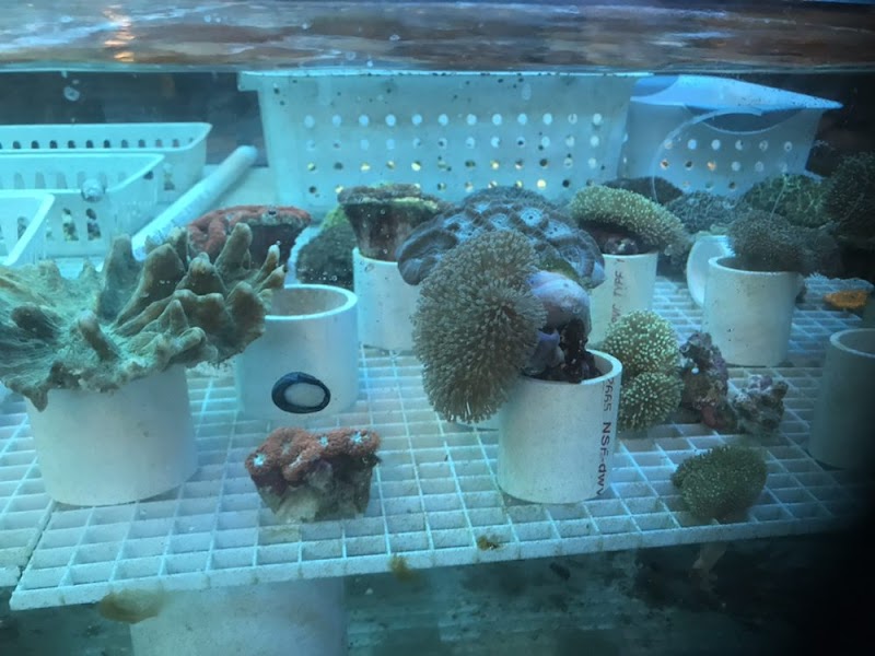 Harry's Marine Life - Photo 2