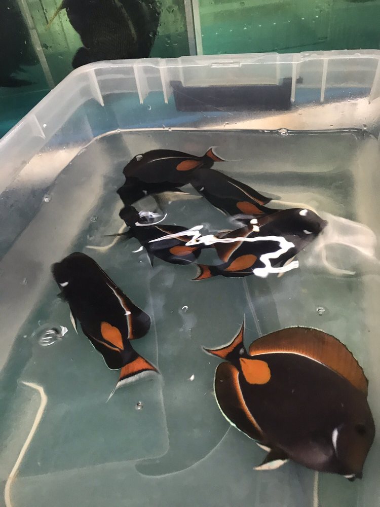 Harry's Marine Life - Photo 3